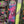 MR Skateboard Decks