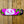 MR Skateboard Decks