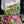 MR Sticker Bomb Snood